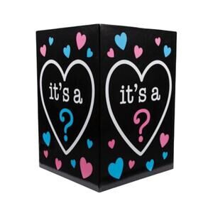 Oriental Trading Its a Boy or Girl Gender Reveal Party Balloon Box Brand New